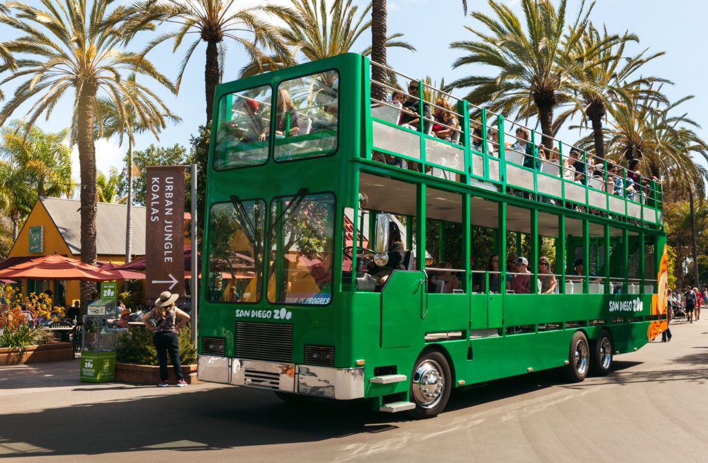 Safari bus i zoo